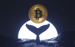 Whales Buy 60K Bitcoins Over Past 2 Months, Adding 1.7 Million BTC in Last 5 Years: Report