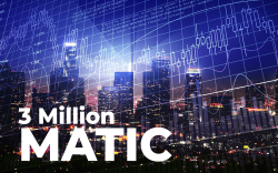 3 Million MATIC Tokens Bought by Whale Amid Market Decline