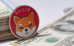 Almost $1.5 Billion Worth of SHIB Held by Ethereum Whales: Details