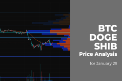 BTC, DOGE and SHIB Price Analysis for January 29