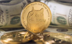 Dogecoin Spikes as Elon Musk Tweets Most Relatable Crypto Meme