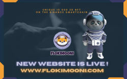 Flokimooni Launching Their New Website While Outperforming the Marketing