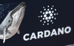 Cardano Records Staggering 15,000% Increase in Whale Addresses from December: Details