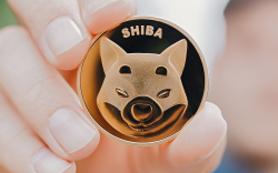 Shiba Inu Price Recovers as SHIB Returns Once Again Among Top 10 Tokens Purchased by Whales