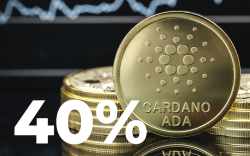 Cardano Millionaire Whales Have Increased Holdings by 40% in January: Details