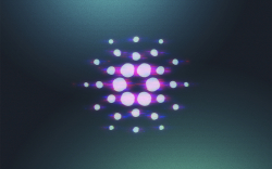 Cardano's Most Crucial Update in 2022 Goes Live: What Does This Mean for Cardano?