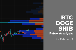 BTC, DOGE and SHIB Price Analysis for February 2