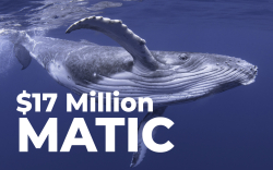 ETH Whales Grab $17 Million Worth of MATIC: Details