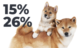 Shiba Inu Dominance Among Large Wallets Reaches 15% as Token's Price Spikes by 26%