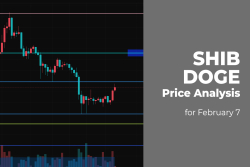 SHIB and DOGE Price Analysis for February 7