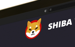 New Shiba Inu Whale Emerges, Here's How Much SHIB They Hold