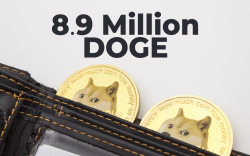 8.9 Million DOGE Bought by Major BNB Whale: Details
