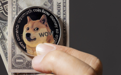 Dogecoin Returns Among Top Purchased Tokens by Whales; Here's How Much They Own