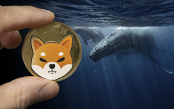 SHIB Whale Holding 35 Trillion Shiba Inu Adds to His Portfolio, Here's What He Buys