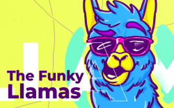 The Funky Llamas