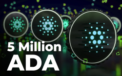5 Million ADA Grabbed by Top BNB Whale: Details