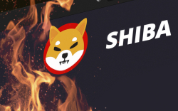 144.2 Million SHIB Burned, While SHIB Becomes Token with Largest USD Value for Whales