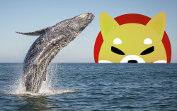 36.8 Billion SHIB Bought by Several Whales Just Now: Details