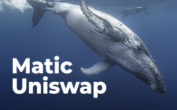 Matic, Uniswap Among Most Purchased Tokens by Whales as Market Dips