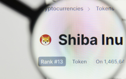 Over $1.5 Billion in SHIB Owned by Ethereum Whales as Coin is Back on Their Top 10 Holdings List