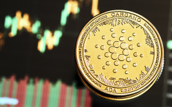 Cardano Surpasses Bitcoin by Transaction Activity as ADA Price Remains in Limbo 