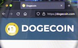 Dogecoin Retests Historical Support Amid Accumulation by Whales: See Details