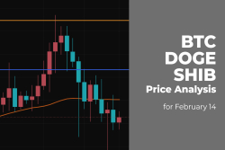BTC, DOGE, and SHIB Price Analysis for February 14