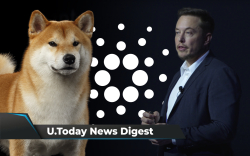 SHIB Net Flow Spikes 850%, Elon Musk Hints at Starlink Accepting DOGE, Cardano's SundaeSwap Sets New Milestone: Crypto News Digest by U.Today