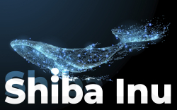 Shiba Inu Whale with 2 Trillion Tokens Diversifies Portfolio to Other Altcoins: Here They Are