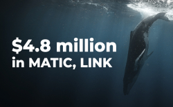 Whales Grab $4.8 Million in MATIC, LINK as These Are Included in Top 10 Bought Coins