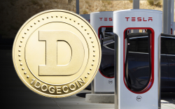 Elon Musk Hints DOGE May Be Used as Payment at Tesla Charging Stations in the Future 