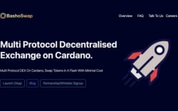 Bashoswap Building a Cardano-Powered Decentralized Exchange And Launchpad