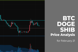 BTC, DOGE and SHIB Price Analysis for February 21