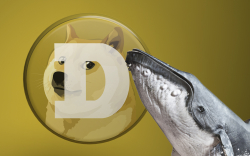 DOGE Replaces Polkadot as 12th Largest Cryptocurrency, Resurfaces Among Top Whale Holdings