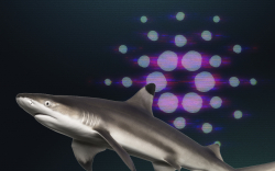 Cardano Shark Addresses Accumulate Nearly Half of Total Supply, Add 6% in Last 5 Weeks: Details