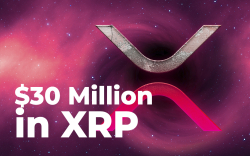 Anon Whale Moves Close to $30 Million in XRP, While Coin Rises 9.21%