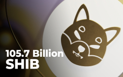 105.7 Billion SHIB Bought by These Major Ethereum Whales: Report