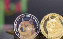 Dogecoin Creator Shares Important On-Chain Data from 2014: Details