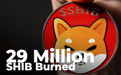 29 Million SHIB Burnt Over Last 24 Hours Amid 17% Weekly Fall