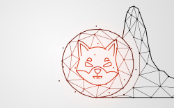 Shiba Inu Smart Contract Usage Increases by 600% as Cryptocurrency Market Recovers