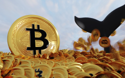 Bitcoin Whales Become More Active with Number of Transactions Greater Than $1 Million Rising