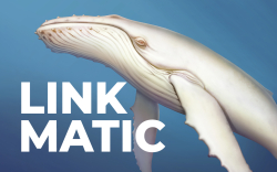 Whales Grab $1.2 Million in LINK, $1.05 Million in MATIC on the Dip, Increasing Their Holdings 