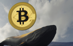 Whales Move Over 11,000 BTC in Just Hours as Bitcoin Plummets to Lows Near $40K: Details