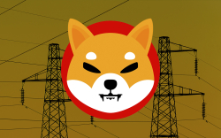 SHIB Payments Now Accepted by Australian Energy Company Through BitPay: Details