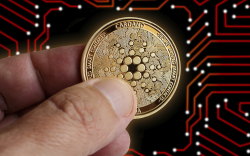 Cardano (ADA) Becomes Most Used Blockchain with Lowest Fees: Data