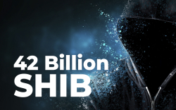 This Shiba Inu Whale Just Grabbed 42 Billion SHIB Tokens