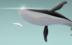 Ethereum Accumulation: Whale Addresses Are Still Buying Despite Suppressed Price Performance: Santiment