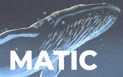 MATIC Large Transactions Increase by 105% as Whales Return: Details