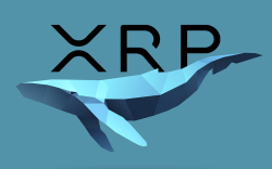 XRP Whales Move 60 Million Coins Between Wallets: Whale Alert