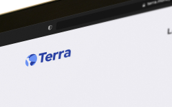 Terra Luna Outpaces Solana and Cardano After Gaining 30%: Details